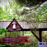 ” PUSZCZA NOTECKA – CZĘŚĆ II”